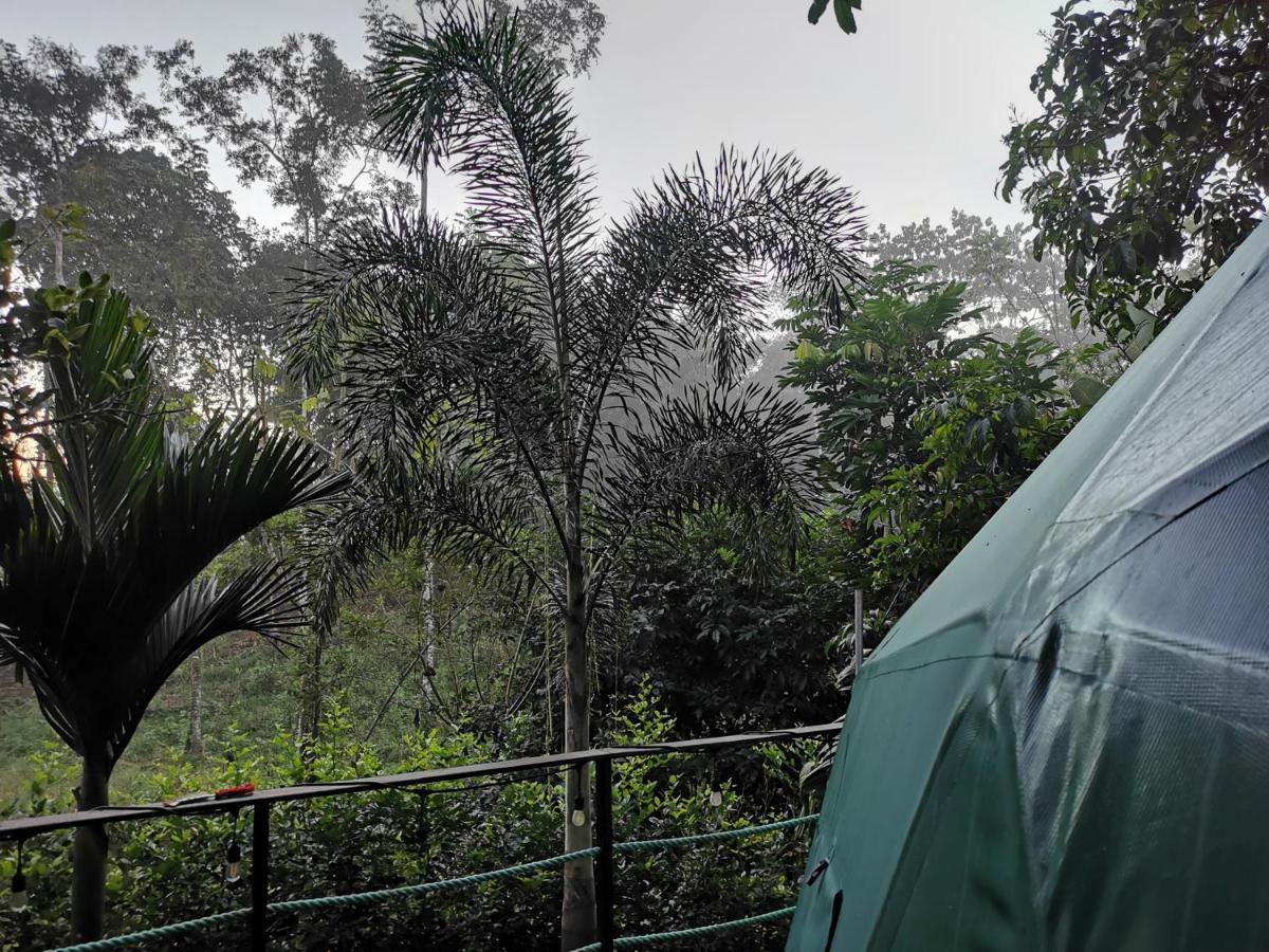 Hotel Momotus Glamping Florencia Exterior foto