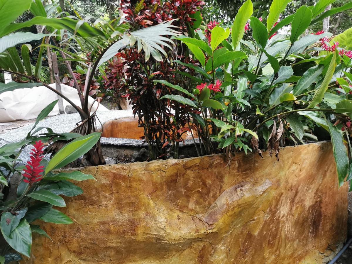 Hotel Momotus Glamping Florencia Exterior foto
