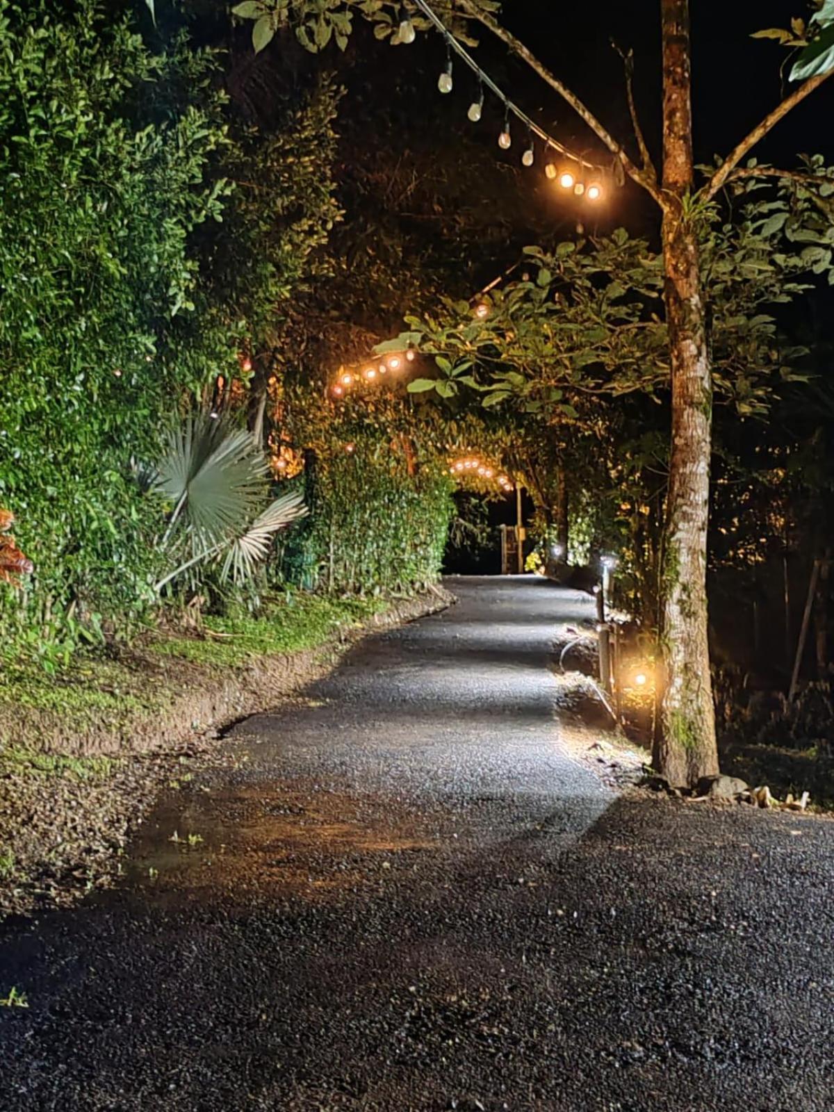 Hotel Momotus Glamping Florencia Exterior foto